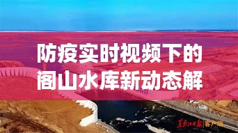 防疫实时视频下的阁山水库新动态解读