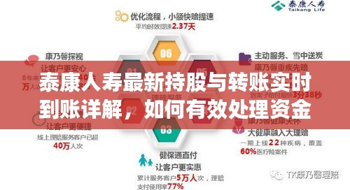 泰康人寿最新持股与转账实时到账详解，如何有效处理资金问题并合理要回资金？