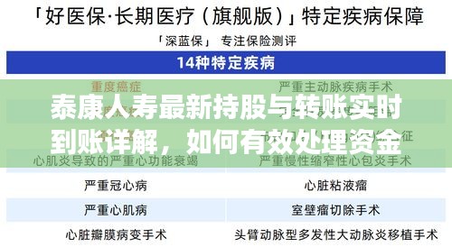 泰康人寿最新持股与转账实时到账详解,如何有效处理资金问题并合理要回资金?