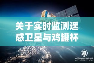 关于实时监测遥感卫星与鸡罐杯价格的分析