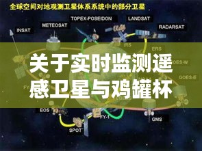 关于实时监测遥感卫星与鸡罐杯价格的分析