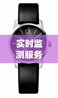实时监测服务平台下的Sinex手表价格探讨