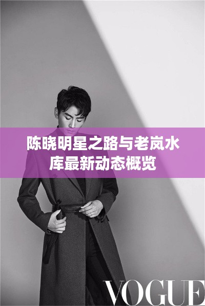 陈晓明星之路与老岚水库最新动态概览