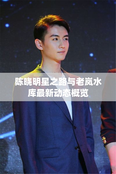 陈晓明星之路与老岚水库最新动态概览