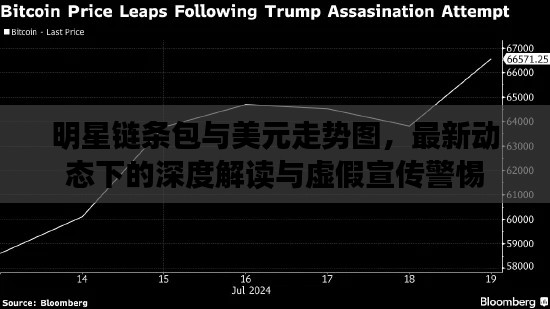 明星链条包与美元走势图,最新动态下的深度解读与虚假宣传警惕