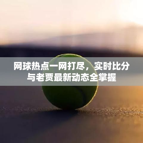 网球热点一网打尽,实时比分与老贾最新动态全掌握
