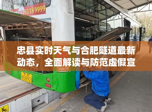 忠县实时天气与合肥隧道最新动态,全面解读与防范虚假宣传