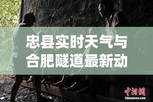 忠县实时天气与合肥隧道最新动态,全面解读与防范虚假宣传