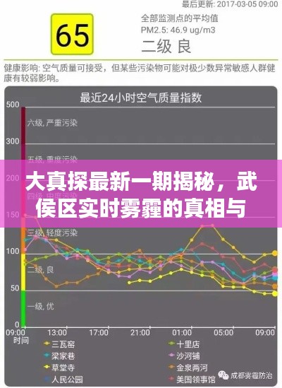 大真探最新一期揭秘,武侯区实时雾霾的真相与应对之道