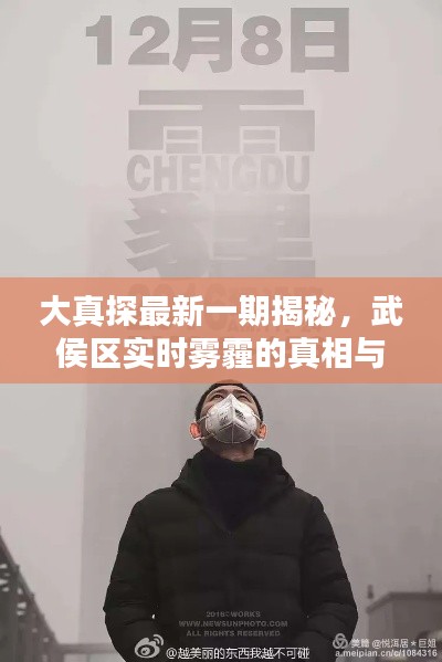 大真探最新一期揭秘,武侯区实时雾霾的真相与应对之道