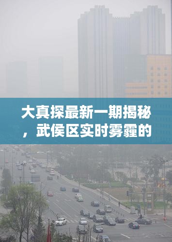 大真探最新一期揭秘,武侯区实时雾霾的真相与应对之道