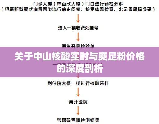 关于中山核酸实时与爽足粉价格的深度剖析