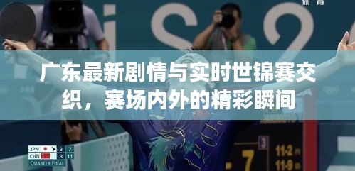 广东最新剧情与实时世锦赛交织,赛场内外的精彩瞬间