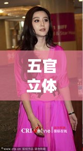 五官立体明星与怀桂最新动态,娱乐焦点热议