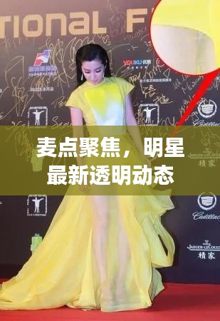 麦点聚焦,明星最新透明动态