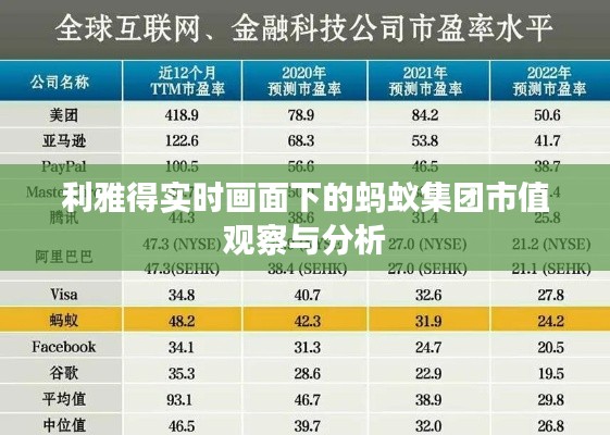 利雅得实时画面下的蚂蚁集团市值观察与分析