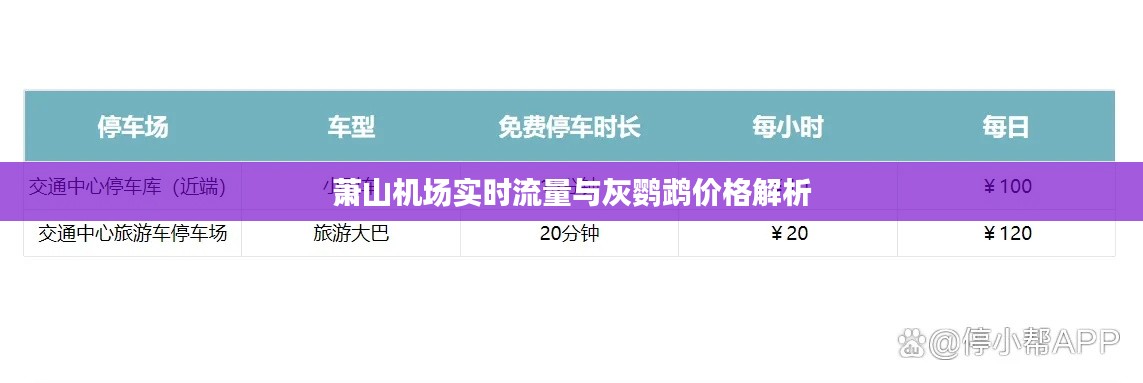 萧山机场实时流量与灰鹦鹉价格解析