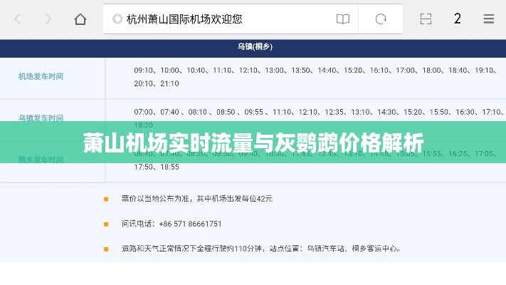 萧山机场实时流量与灰鹦鹉价格解析