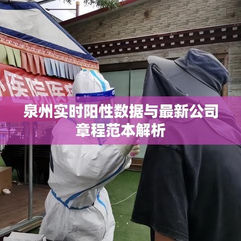 泉州实时阳性数据与最新公司章程范本解析