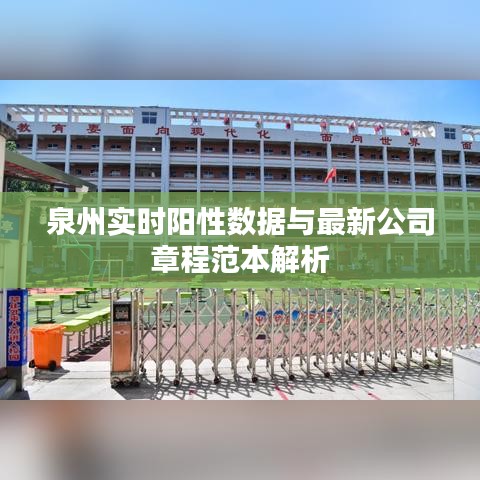 泉州实时阳性数据与最新公司章程范本解析