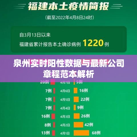 泉州实时阳性数据与最新公司章程范本解析