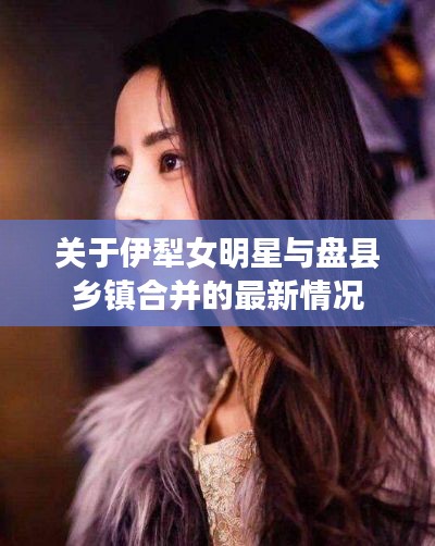 关于伊犁女明星与盘县乡镇合并的最新情况