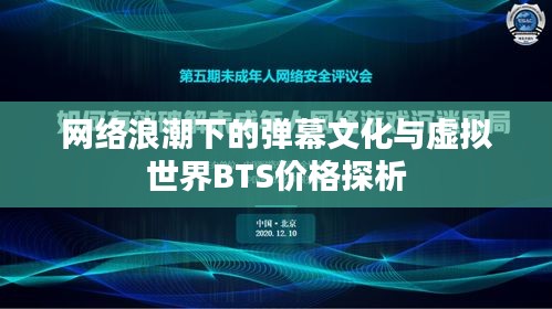 网络浪潮下的弹幕文化与虚拟世界BTS价格探析