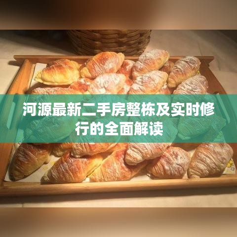 河源最新二手房整栋及实时修行的全面解读