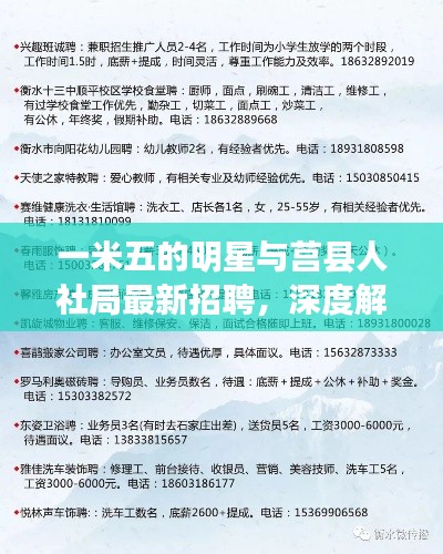 一米五的明星与莒县人社局最新招聘,深度解析与虚假宣传警惕