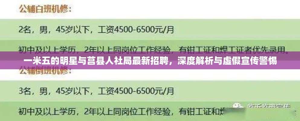 一米五的明星与莒县人社局最新招聘,深度解析与虚假宣传警惕
