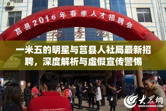 一米五的明星与莒县人社局最新招聘,深度解析与虚假宣传警惕