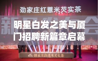 明星白发之美与厦门招聘新篇章启幕