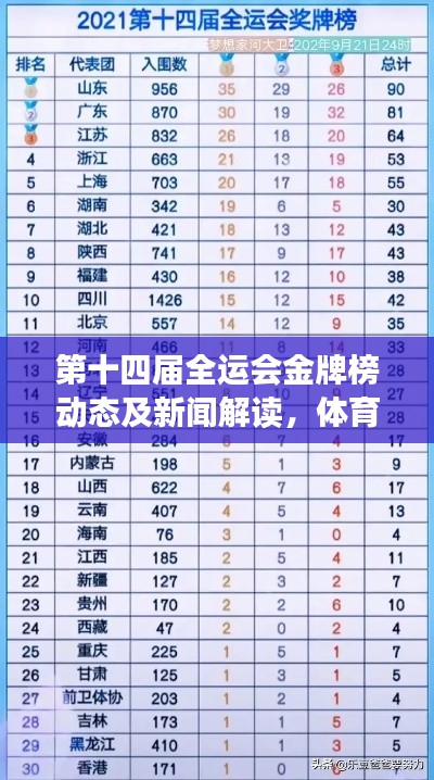 第十四届全运会金牌榜动态及新闻解读,体育盛事的荣誉与成就全面概览