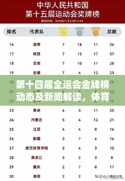 第十四届全运会金牌榜动态及新闻解读,体育盛事的荣誉与成就全面概览