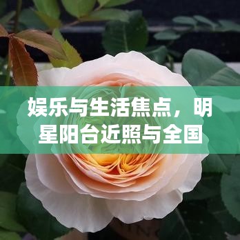 娱乐与生活焦点,明星阳台近照与全国最新猪价格表曝光