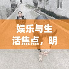 娱乐与生活焦点,明星阳台近照与全国最新猪价格表曝光