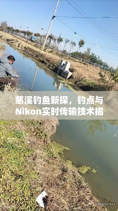 慈溪钓鱼新探,钓点与Nikon实时传输技术揭秘