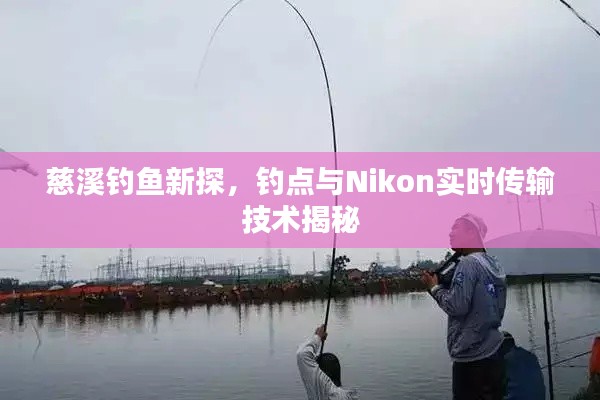 慈溪钓鱼新探,钓点与Nikon实时传输技术揭秘