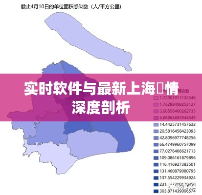 实时软件与最新上海伇情深度剖析