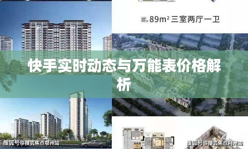快手实时动态与万能表价格解析