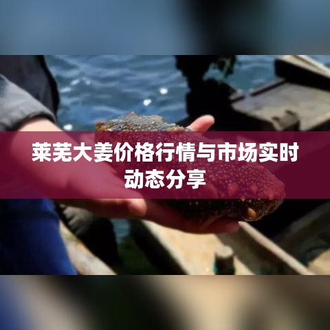 莱芜大姜价格行情与市场实时动态分享