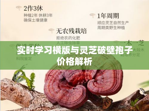实时学习横版与灵芝破壁孢子价格解析