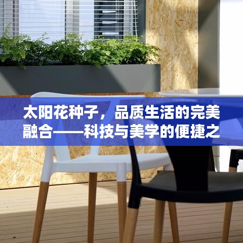 太阳花种子,品质生活的完美融合——科技与美学的便捷之选