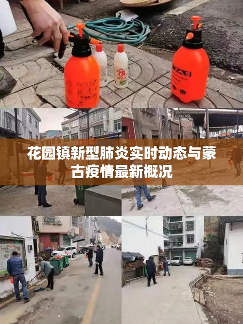 花园镇新型肺炎实时动态与蒙古疫情最新概况
