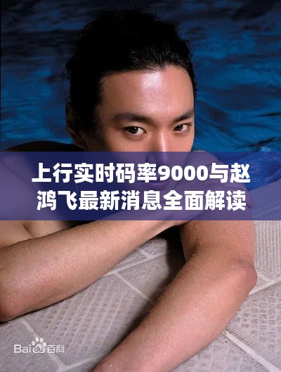 上行实时码率9000与赵鸿飞最新消息全面解读