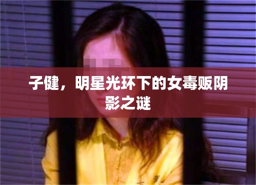 子健,明星光环下的女毒贩阴影之谜