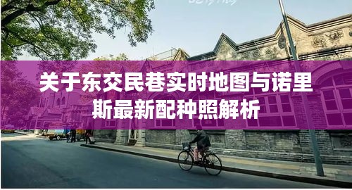 关于东交民巷实时地图与诺里斯最新配种照解析