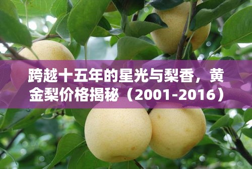 跨越十五年的星光与梨香,黄金梨价格揭秘(2001-2016)