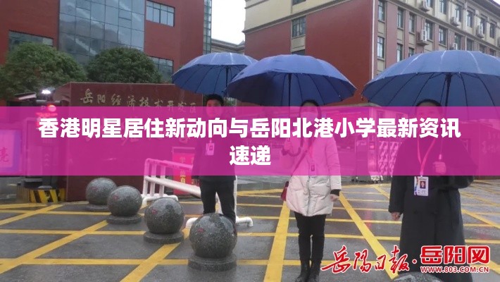 香港明星居住新动向与岳阳北港小学最新资讯速递