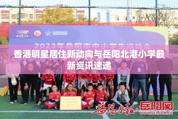 香港明星居住新动向与岳阳北港小学最新资讯速递